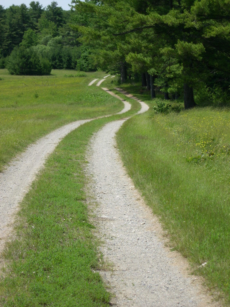 Swan Island Maine Trail Finder