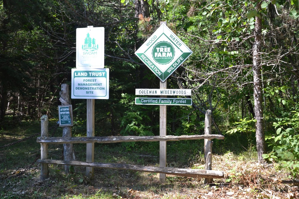 Trailhead signage (Credit: Maine Trail Finder)