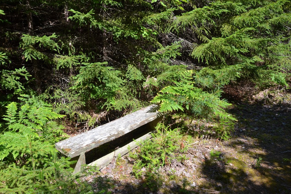One of many benches along the trail (Credit: Maine Trail Finder)