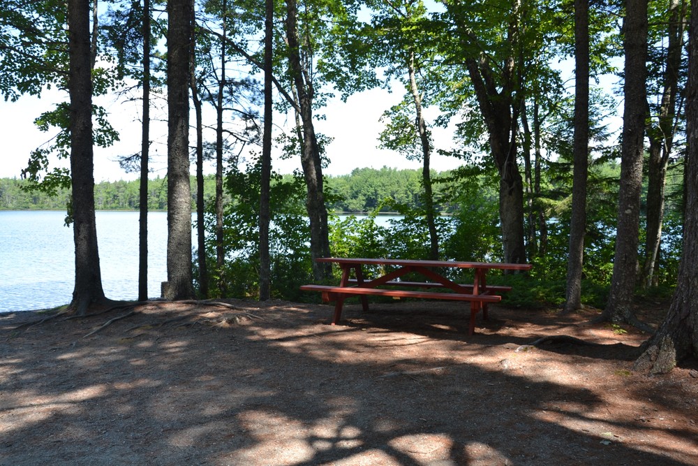 Shady picnic spot (Credit: Maine Trail Finder)