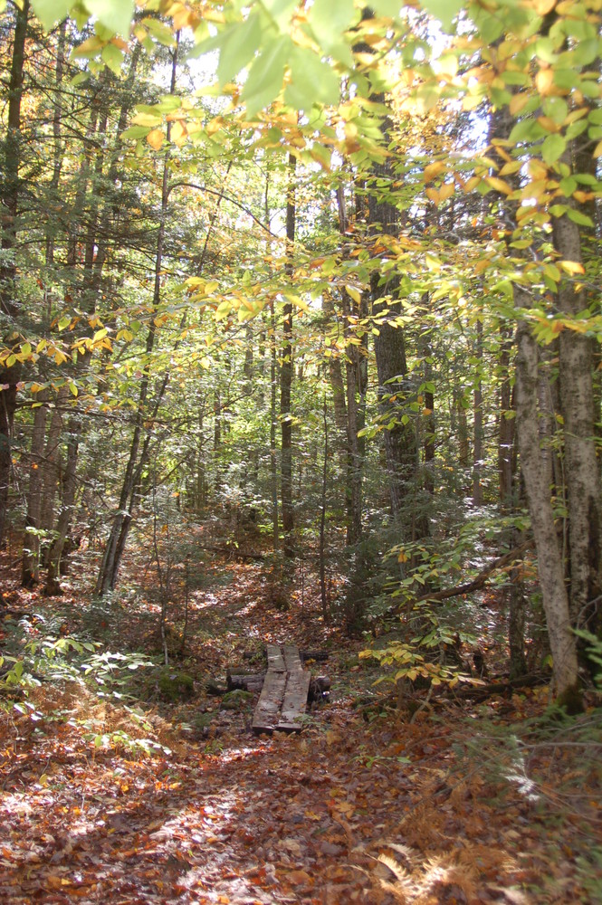 Macdonald Conservation Area & Readfield Town Farm Forest Maine Trail