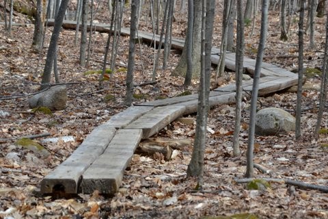 Plank bridging on the trail (Credit: Brian Kent)