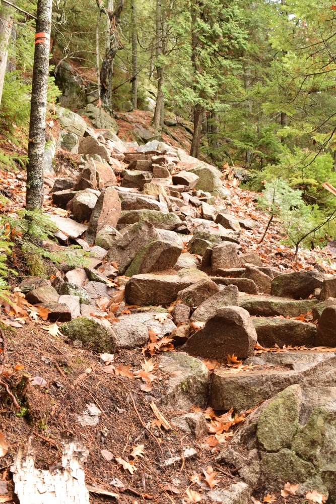 Stone stairs on the newly constructed trail (Credit: Frenchman Bay Conservancy)
