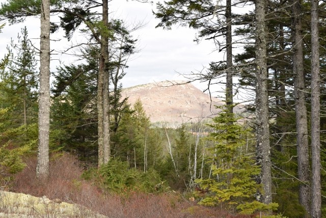 View of Schoodic Mountain (Credit: Frenchman Bay Conservancy)