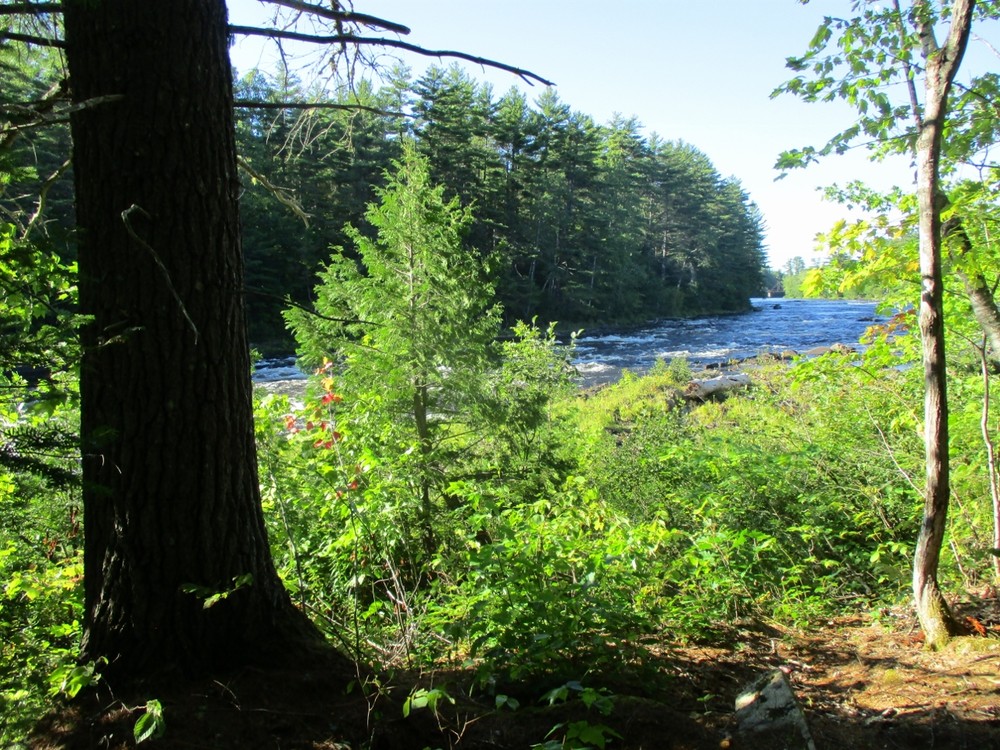 East Branch from the Grindstone Falls Trail (Credit: Evan Watson)