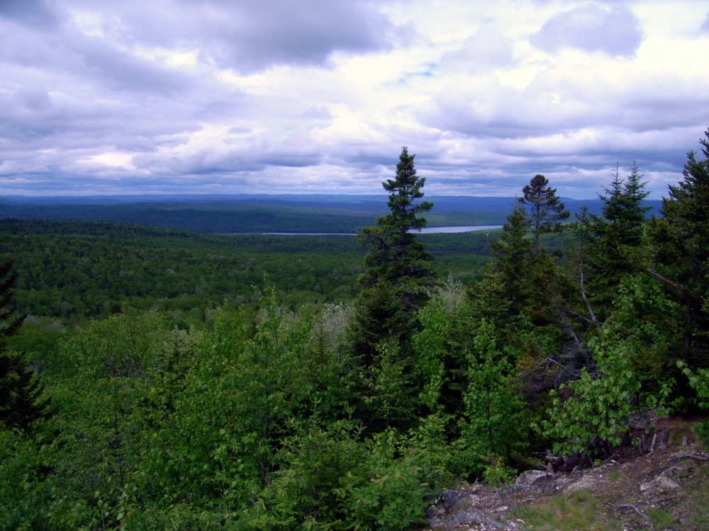 View facing west from the summit (Credit: Aroostook Outdoors)