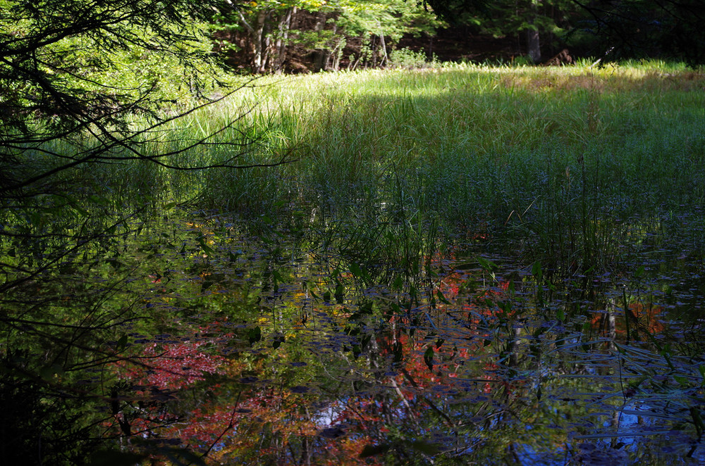 Woodbury Nature Conservancy - Maine Trail Finder