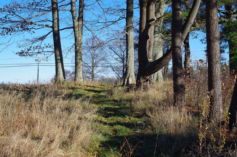  Annie  Sturgis  Sanctuary Trail Maine Trail Finder