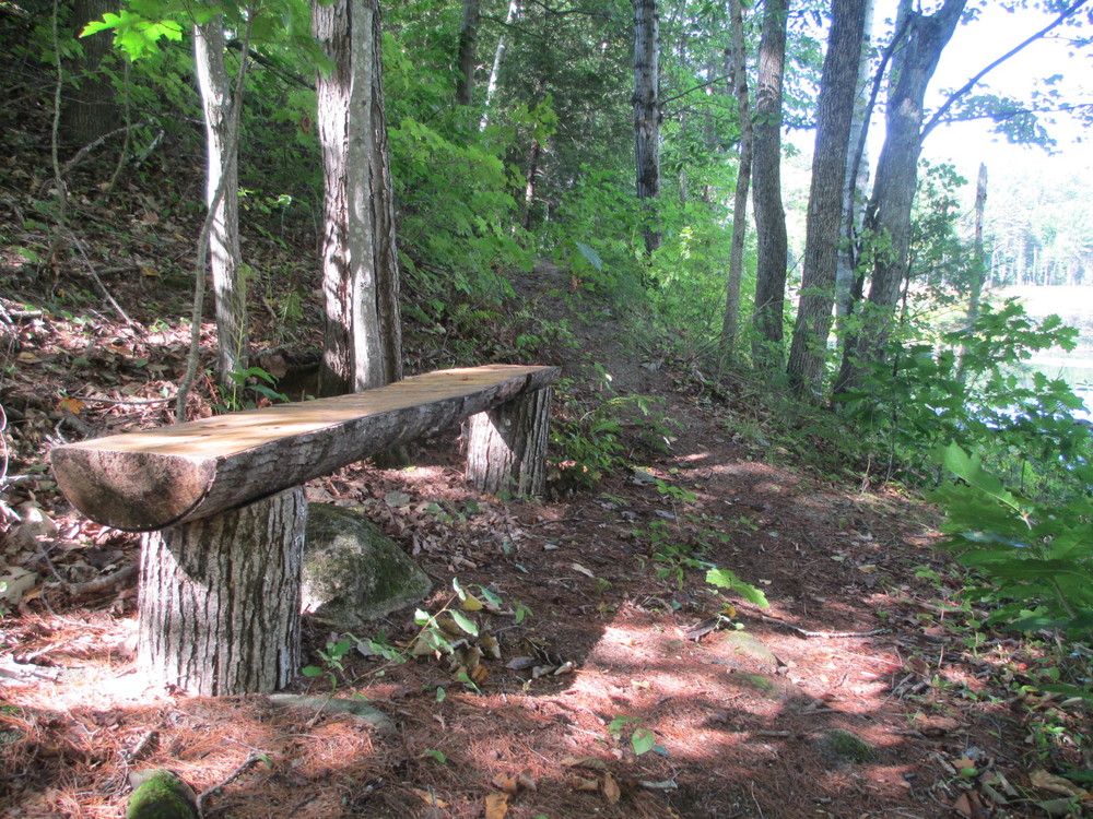 Split Log Bench (Credit: Maine Trail Finder)