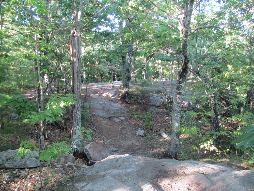 A small gully between the summit and the cliffs on Hawk Mountain (Credit: Maine Trail Finder)