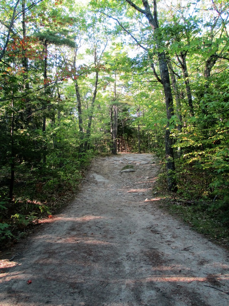 The trail is wide and sandy the entire way up the mountain. (Credit: Maine Trail Finder)