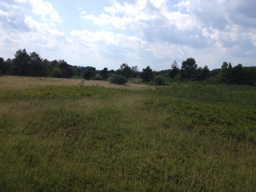 Wells Barrens Preserve - Maine Trail Finder