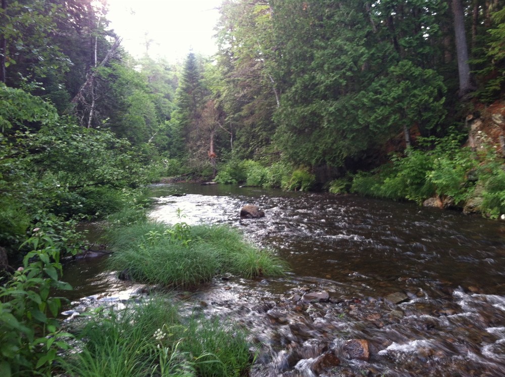 Seboeis Riverside Trail - Maine Trail Finder