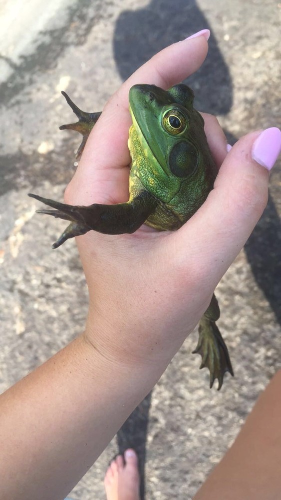 Always catch and release! (Credit: Samantha Lavoie)