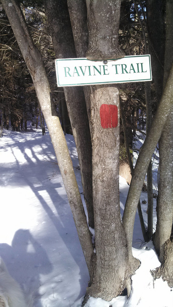 Highlands Trails Topsham Maine Trail Finder
