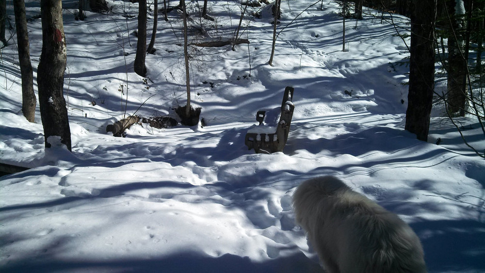 Highlands Trails Topsham Maine Trail Finder