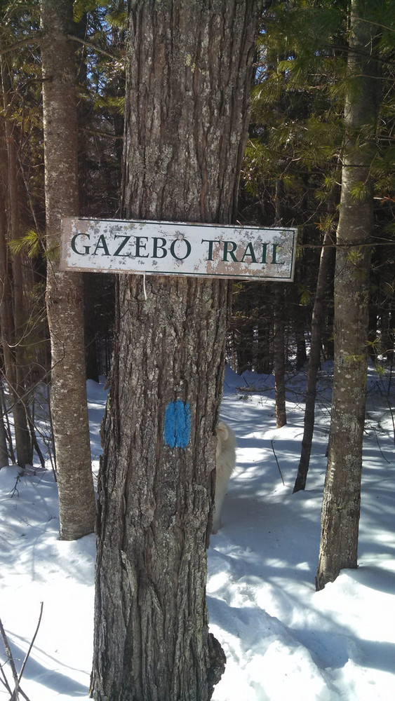 Highlands Trails Topsham Maine Trail Finder