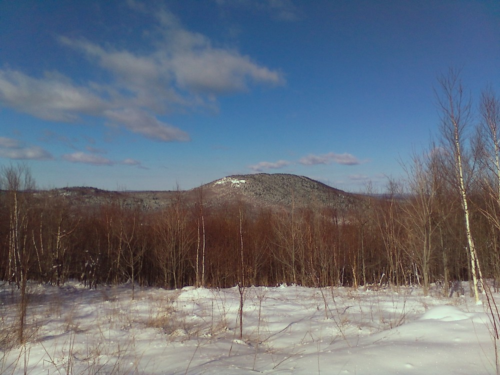 View west from the main trail (Credit: Maine Trail Finder)