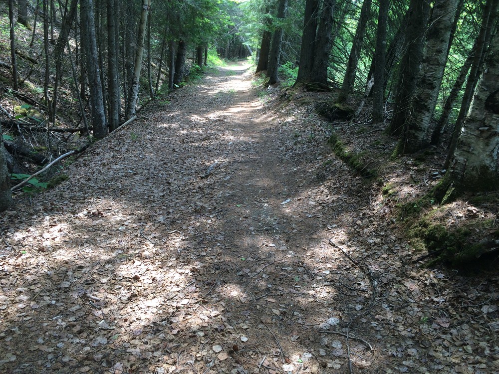 The Rangeley River Trail is wide with a prepared surfaced (Credit: Maine Trail Finder)