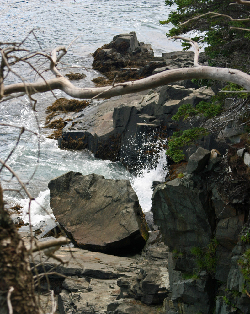 Cutler Coast Public Reserved Land Maine Trail Finder