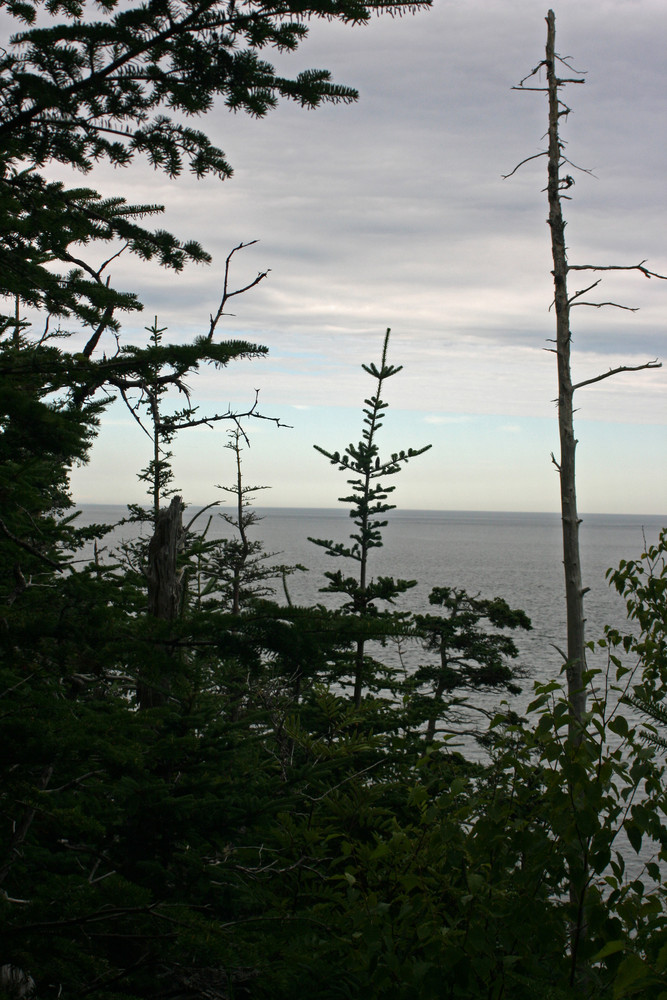 Coast Guard Trail, north of lighthouse (Credit: L. L. Wall @Panoramio)