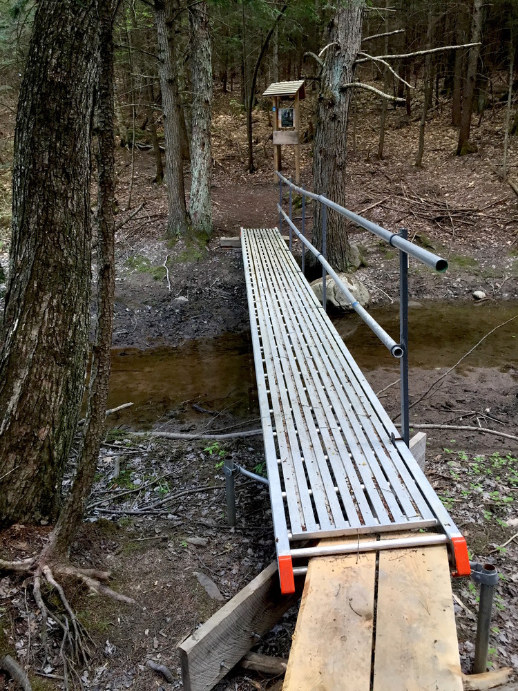 A somewhat stable bridge across the stream. (Credit: Alec Salisbury)