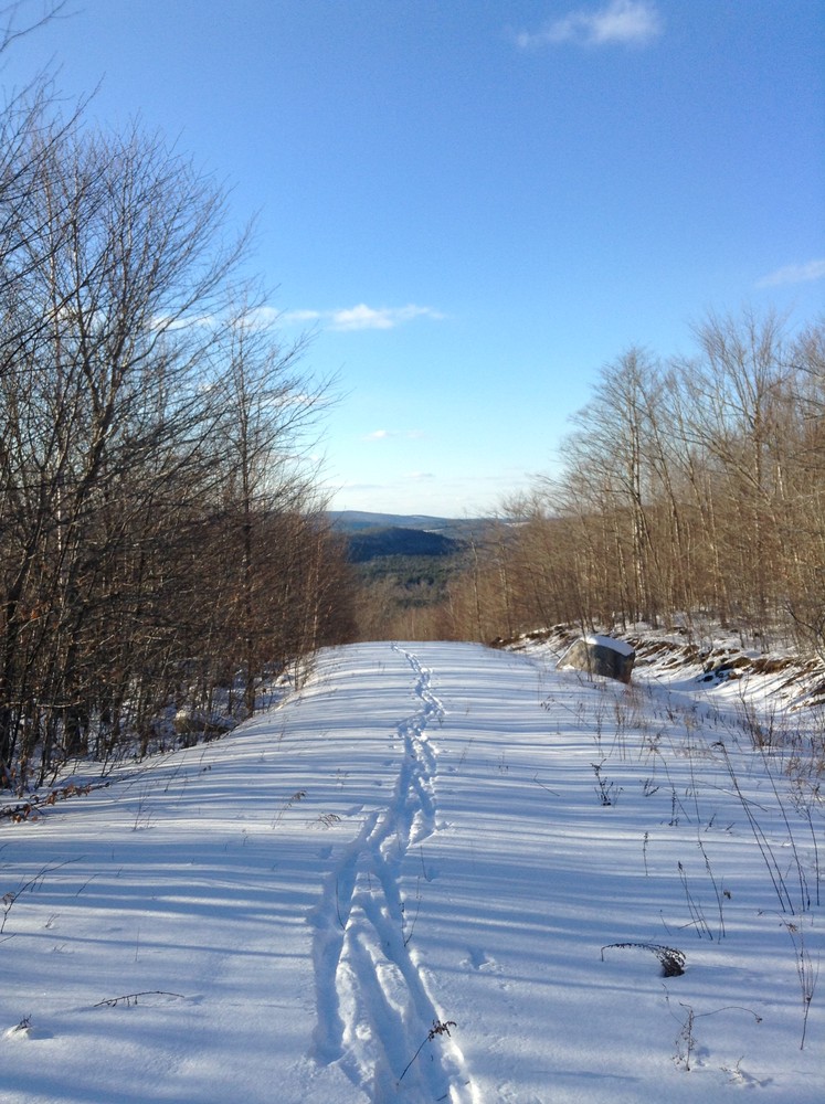 Skiing down the Mountain View Trail (Credit: Nicole Grohoski)