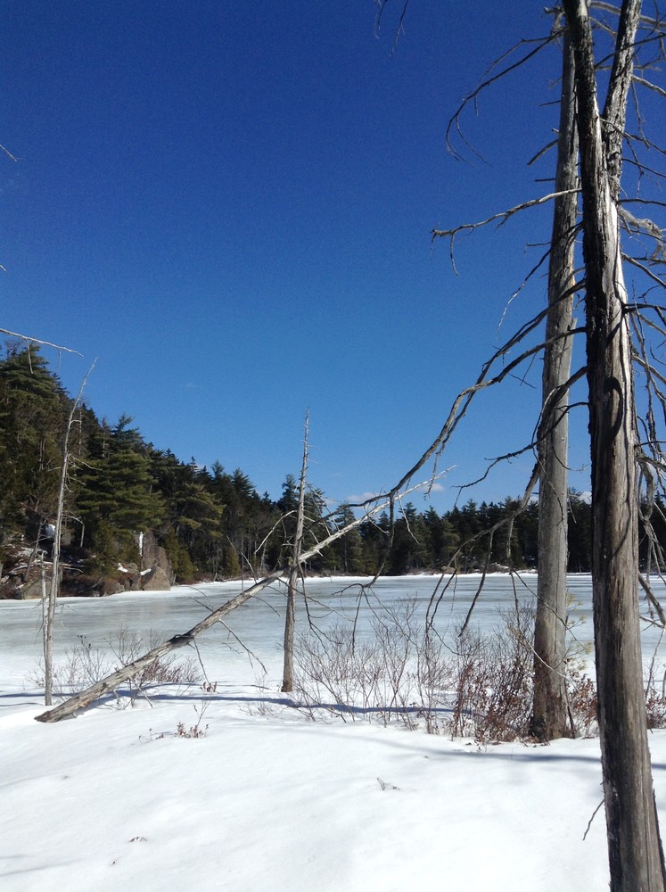 Frozen Mud Pond (Credit: Nicole Grohoski)