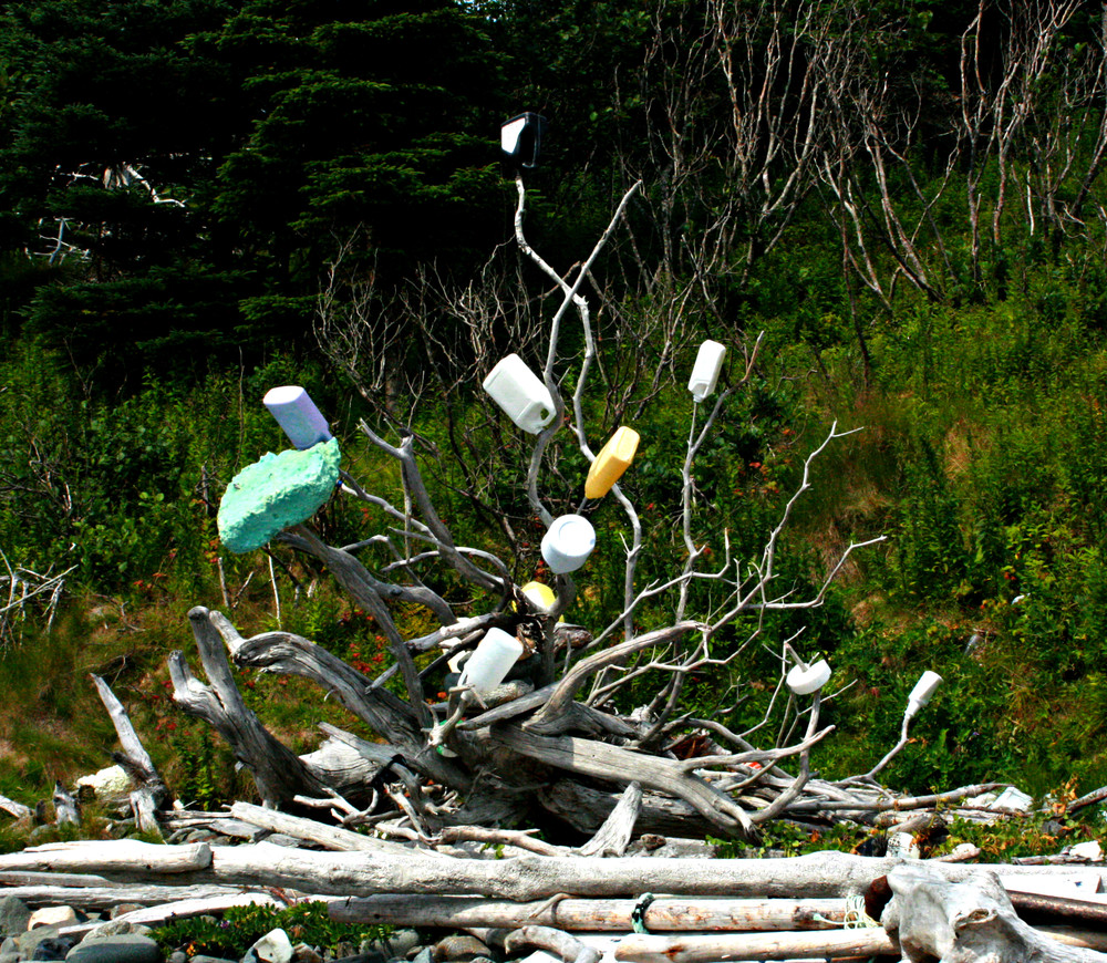 too much plastic flotsom (Credit: L. L. Wall @ Panoramio)