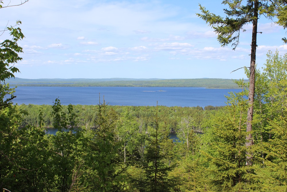 Views across East Grand Lake, Eastern Maine, and New Brunswick (Credit: Woodie Wheaton Land Trust)
