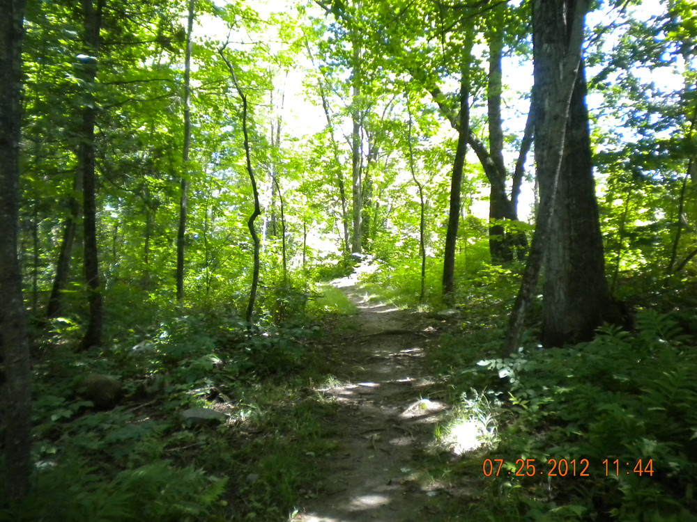Unity College Forest Trails Maine Trail Finder