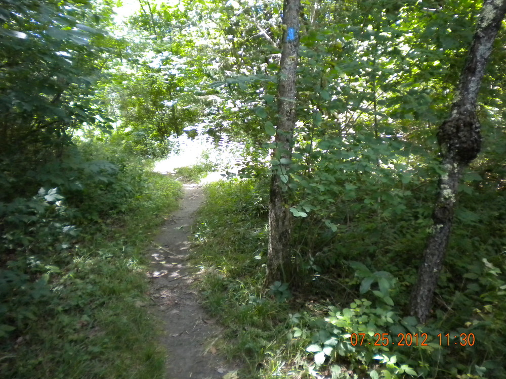 Unity College Forest Trails Maine Trail Finder