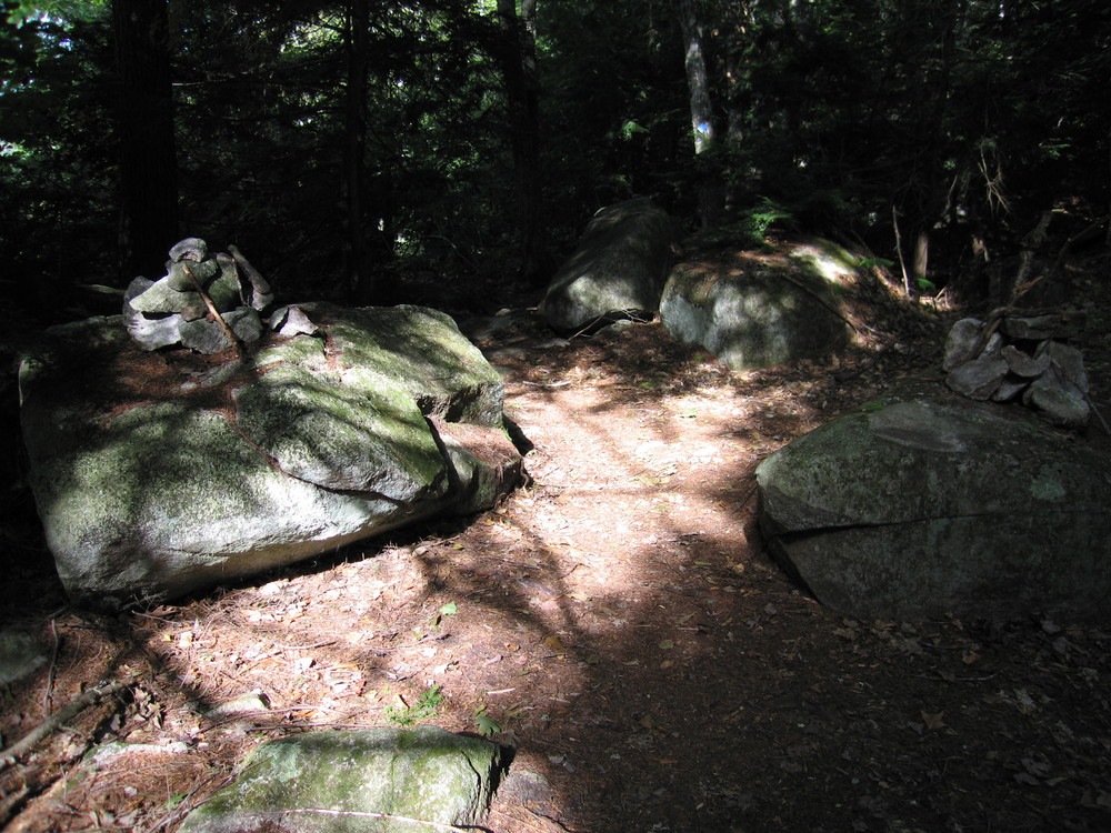Trail section through boulders (Credit: M. Morris)