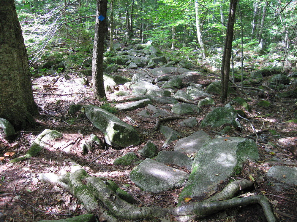 Rocky section of trail (Credit: M.Morris)