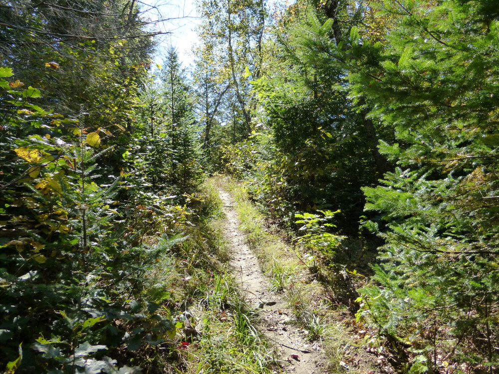 Messalonskee Stream trail.