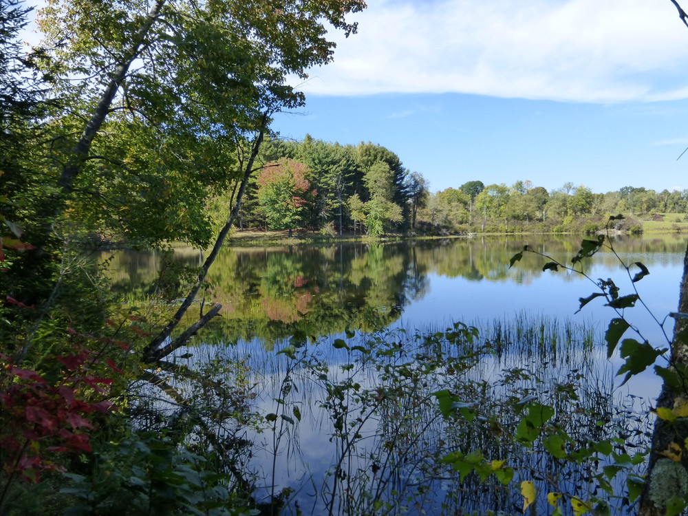 Messalonskee Stream Trail - Maine Trail Finder