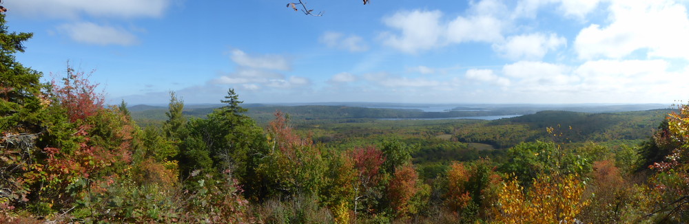 Panoramic view from a lookout. (Credit: Chris Nason)