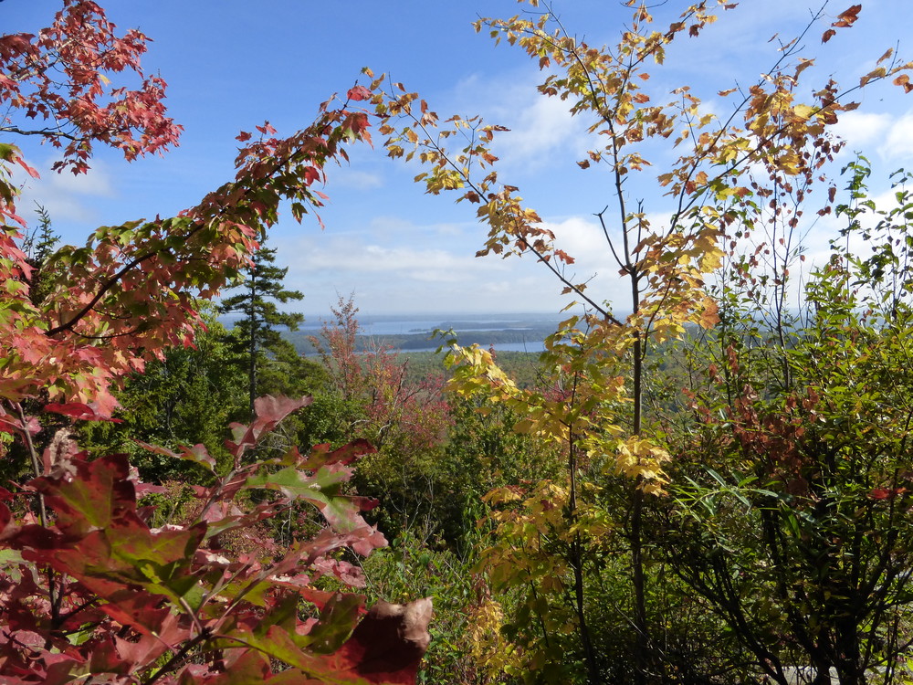 View of Belgrade Lakes from lookout. (Credit: Chris Nason)