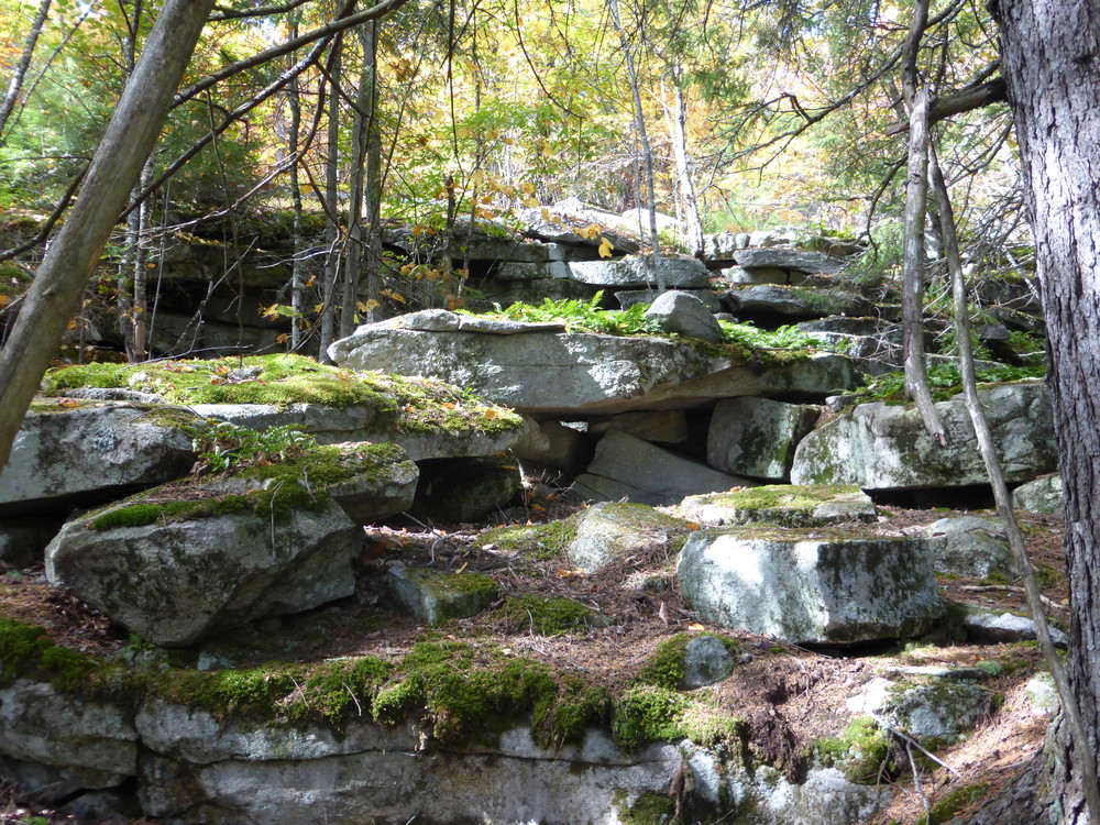 There are lots of awesome ledges and rocks along the trails. (Credit: Chris Nason)