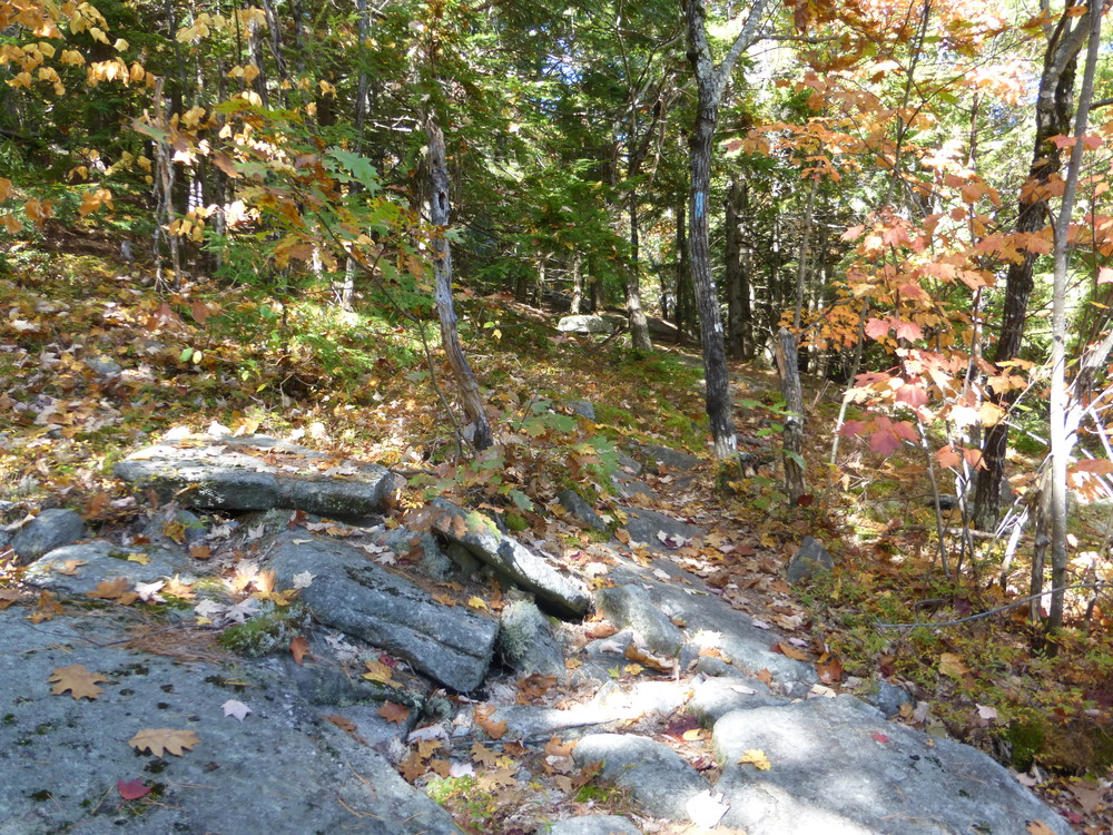 Rocky paths make for an interesting hike. (Credit: Chris Nason)