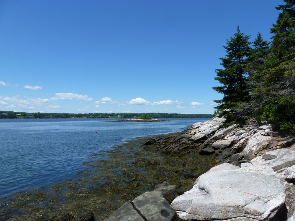 Porter Preserve Maine Trail Finder