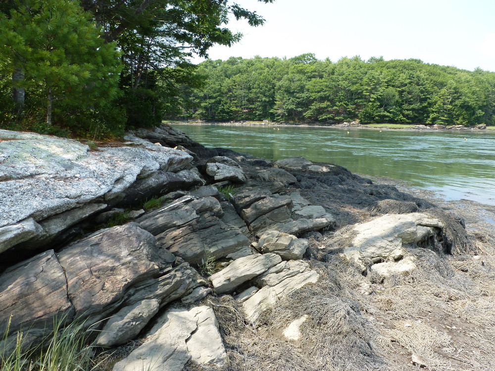 The rocky shore on the Cross River at OM East (Credit: Chris Nason)
