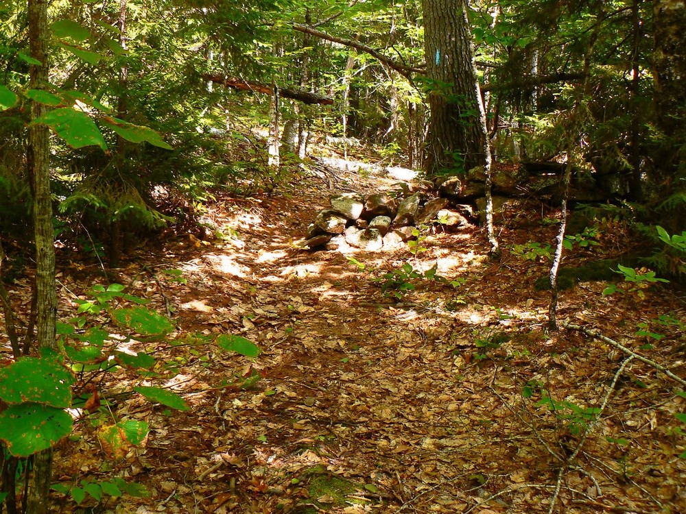 Spirit Pond and McDonald Sanctuary Preserve Maine Trail Finder