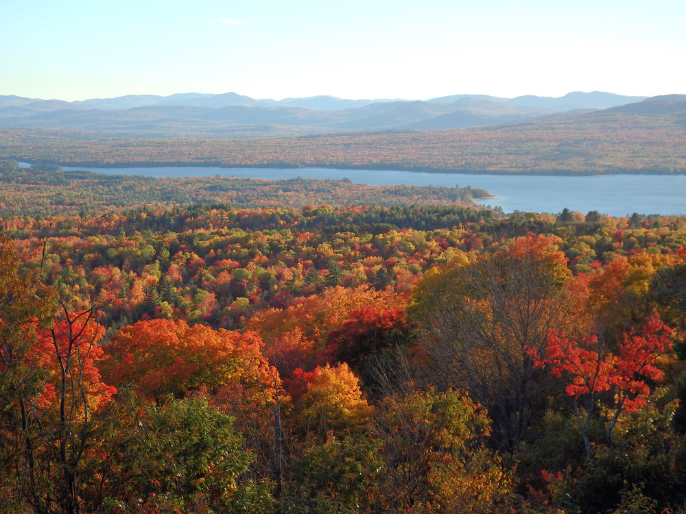 Webb Lake viewed from the Ledges Trail @ Mt. Blue's Center Hill (Credit: Robert Ratford)