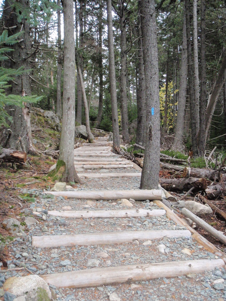 Flying Mountain Hiking Trail Acadia National Park - Flying Mountain Loop - Maine Trail Finder