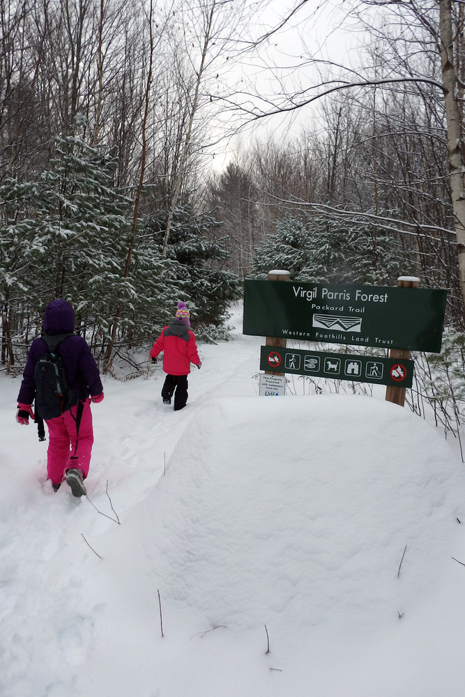 Bringing the kids for a winter hike. (Credit: Robert Ratford)