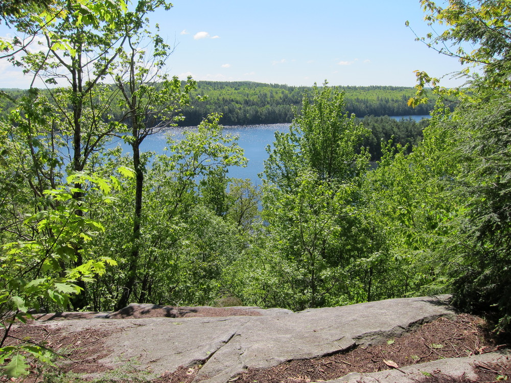 Parker Pond with slight view of Birch Island along the White Blazed Trail (Credit: Miles Morris)
