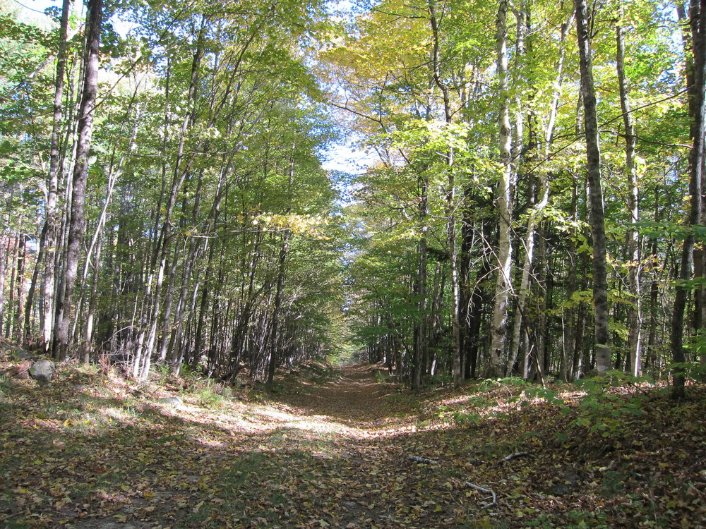 Macdonald Conservation Area & Readfield Town Farm Forest Maine Trail