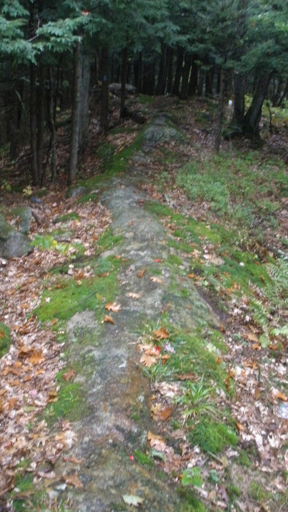 Ridge Trail (Credit: Laura Keating)