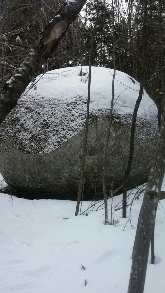 A large glacial erratic, the 'Rolling Rock' (Credit: Woodie Wheaton Land Trust)